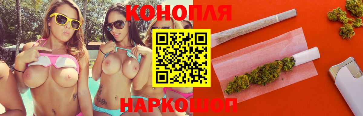 МАРИХУАНА конопля Новокубанск